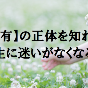 何故、31フォロワーしかいない時に6桁稼げたのか解説します
